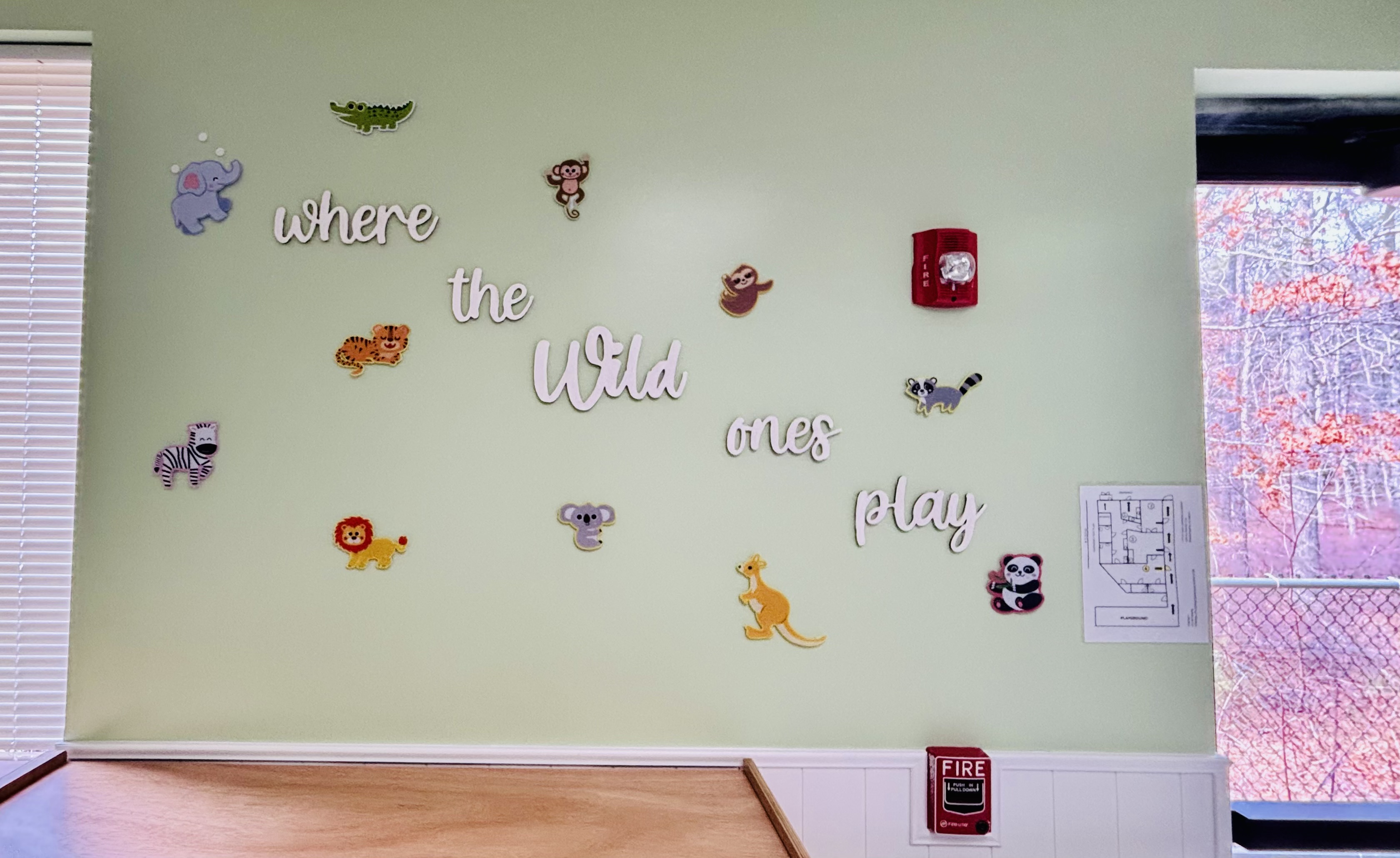 Where the wild ones play